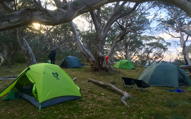 buller huts trail camping